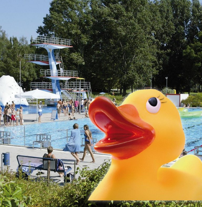 gelbe Ente, im Hintergrund ein Freibad 